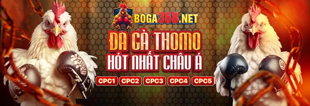 Đá gà trực tuyến vuaclub win