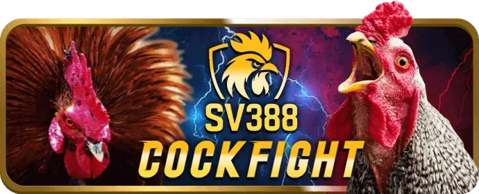 Bảo mật dữ liệu và mã hóa của vuaclub win
